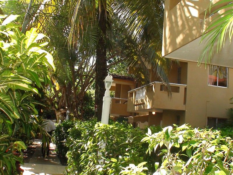Beach House Cabarete By Faranda Hotels ภายนอก รูปภาพ